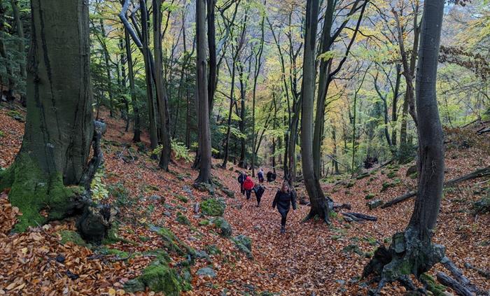 Wye Valley Wander